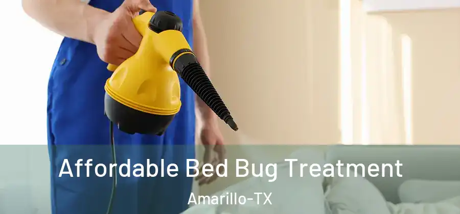  Affordable Bed Bug Treatment Amarillo-TX