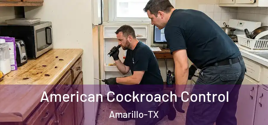  American Cockroach Control Amarillo-TX
