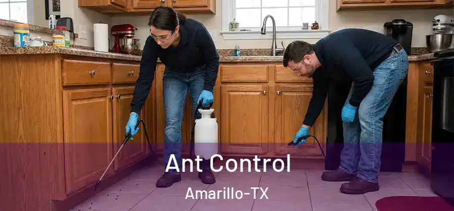  Ant Control Amarillo-TX