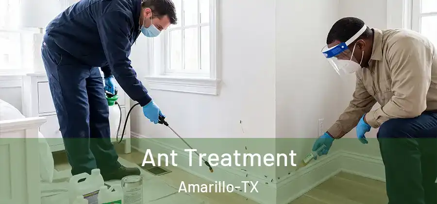  Ant Treatment Amarillo-TX
