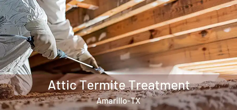  Attic Termite Treatment Amarillo-TX