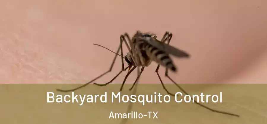  Backyard Mosquito Control Amarillo-TX