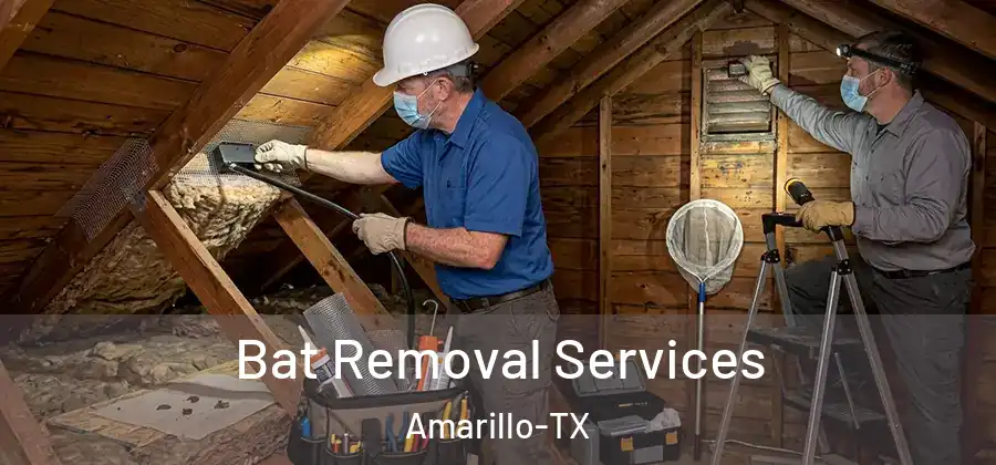  Bat Removal Services Amarillo-TX