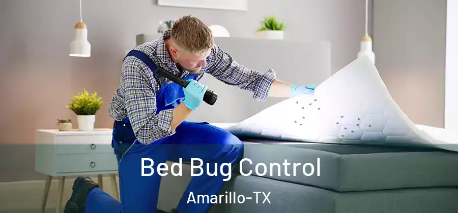  Bed Bug Control Amarillo-TX