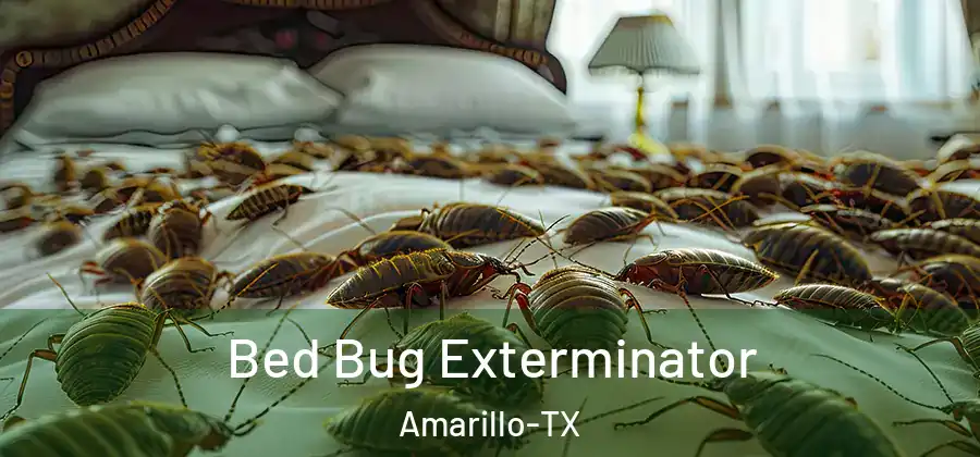  Bed Bug Exterminator Amarillo-TX