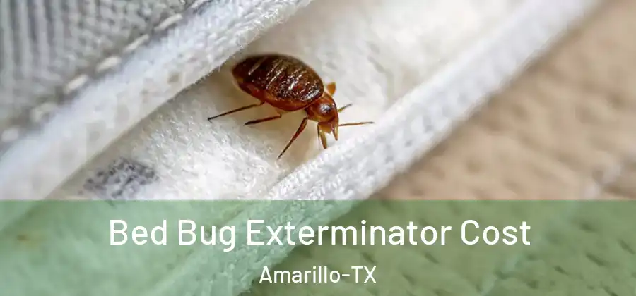  Bed Bug Exterminator Cost Amarillo-TX