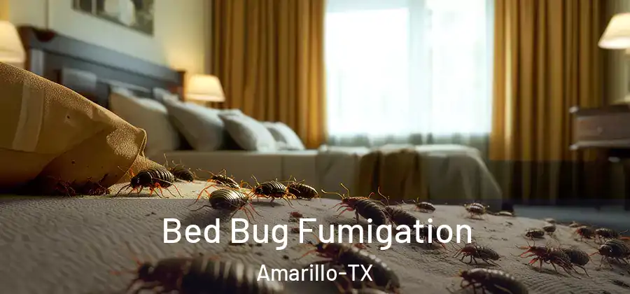  Bed Bug Fumigation Amarillo-TX