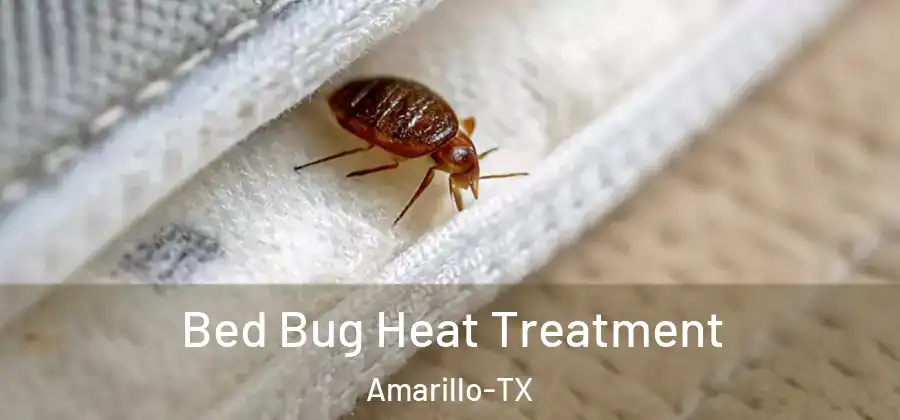  Bed Bug Heat Treatment Amarillo-TX