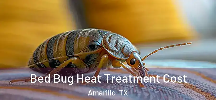  Bed Bug Heat Treatment Cost Amarillo-TX
