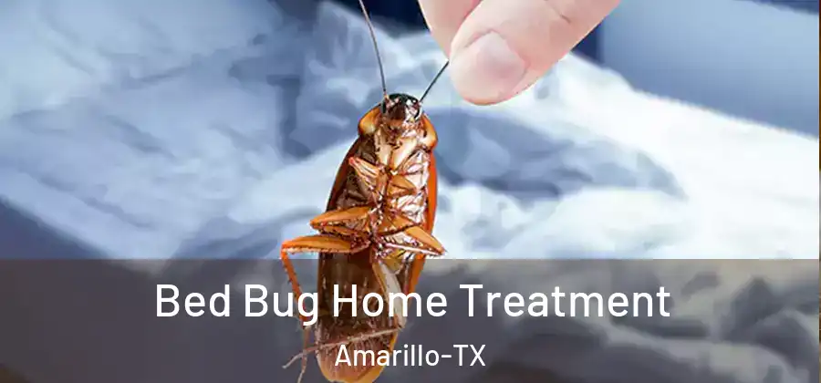  Bed Bug Home Treatment Amarillo-TX