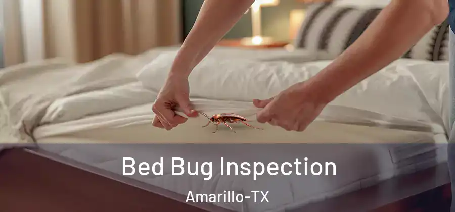 Bed Bug Inspection Amarillo-TX