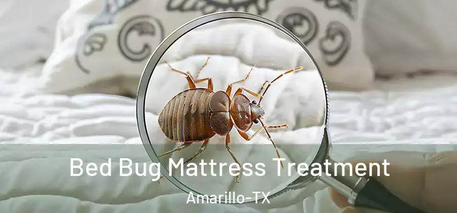  Bed Bug Mattress Treatment Amarillo-TX