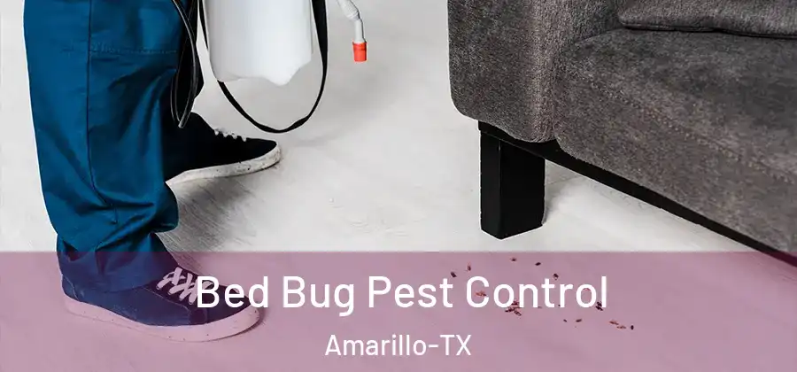  Bed Bug Pest Control Amarillo-TX