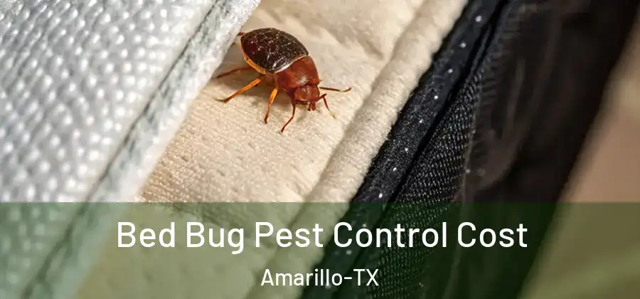  Bed Bug Pest Control Cost Amarillo-TX