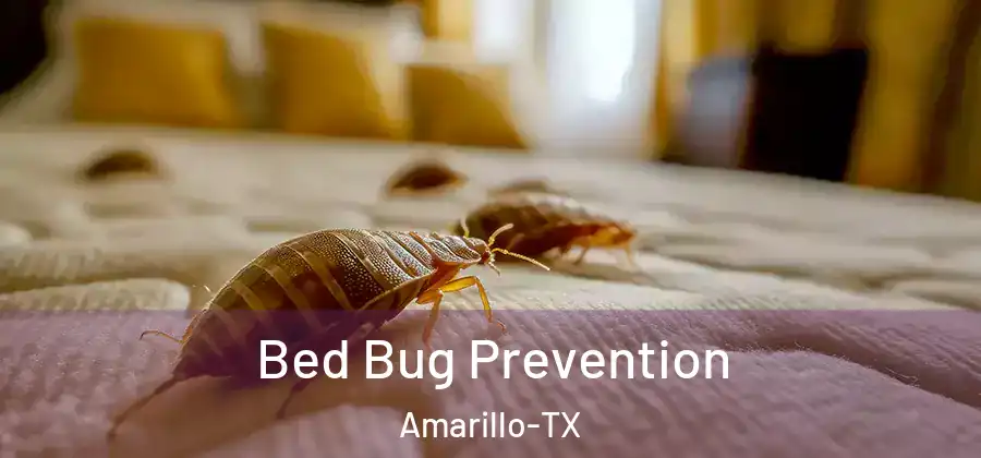  Bed Bug Prevention Amarillo-TX