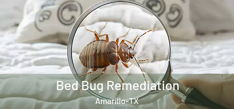  Bed Bug Remediation Amarillo-TX