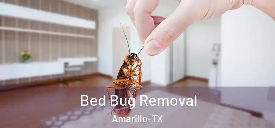  Bed Bug Removal Amarillo-TX