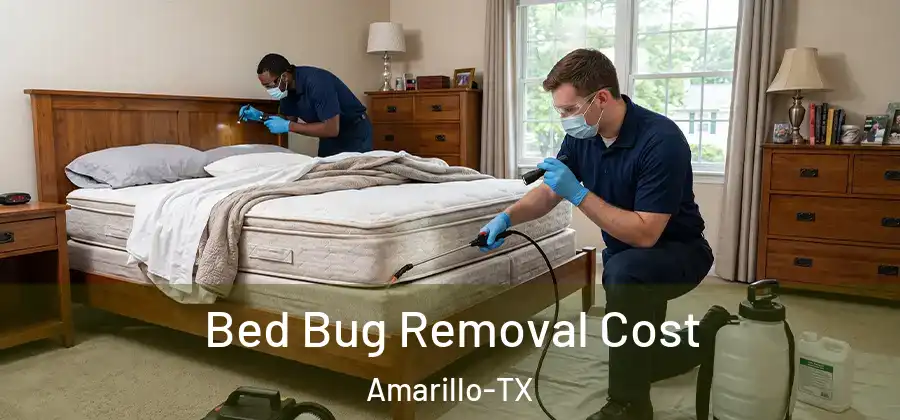  Bed Bug Removal Cost Amarillo-TX