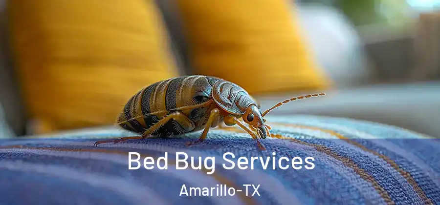  Bed Bug Services Amarillo-TX
