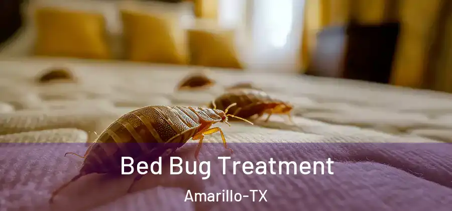  Bed Bug Treatment Amarillo-TX