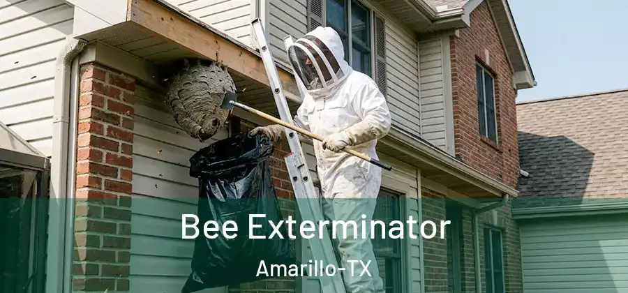  Bee Exterminator Amarillo-TX