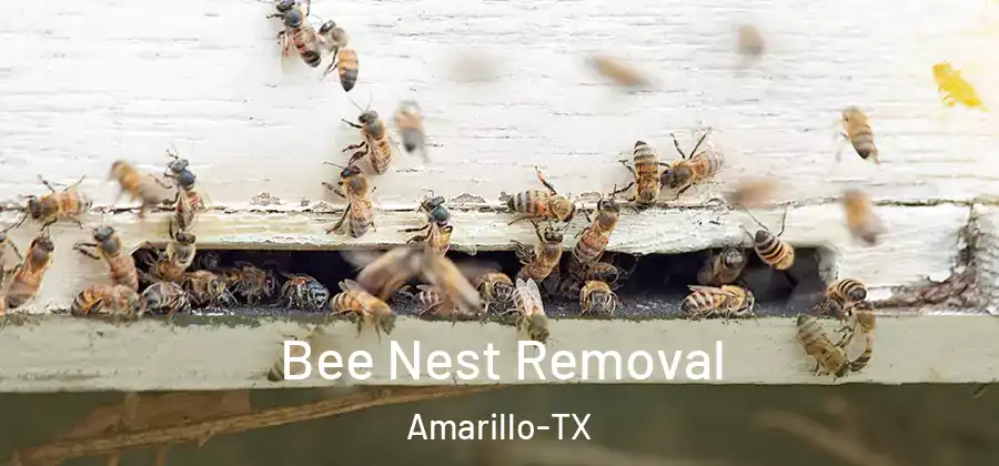  Bee Nest Removal Amarillo-TX