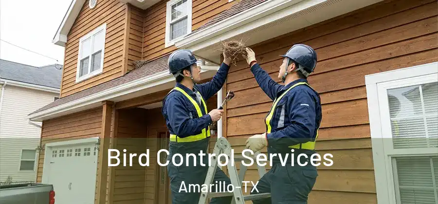  Bird Control Services Amarillo-TX
