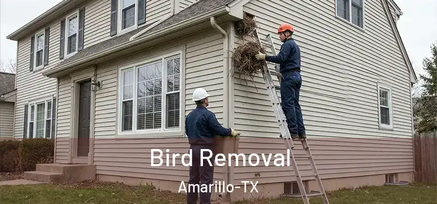  Bird Removal Amarillo-TX