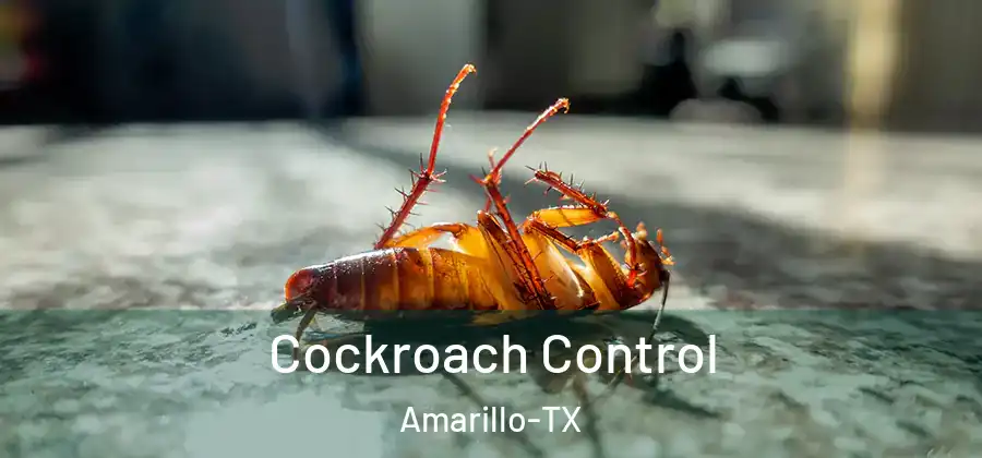  Cockroach Control Amarillo-TX