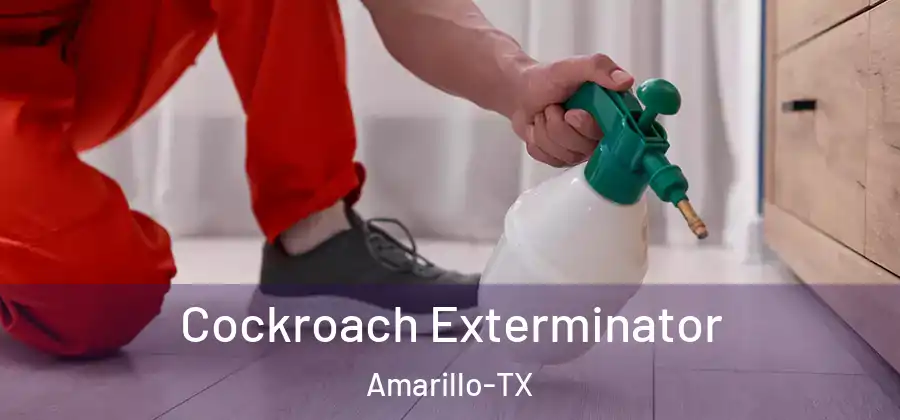  Cockroach Exterminator Amarillo-TX