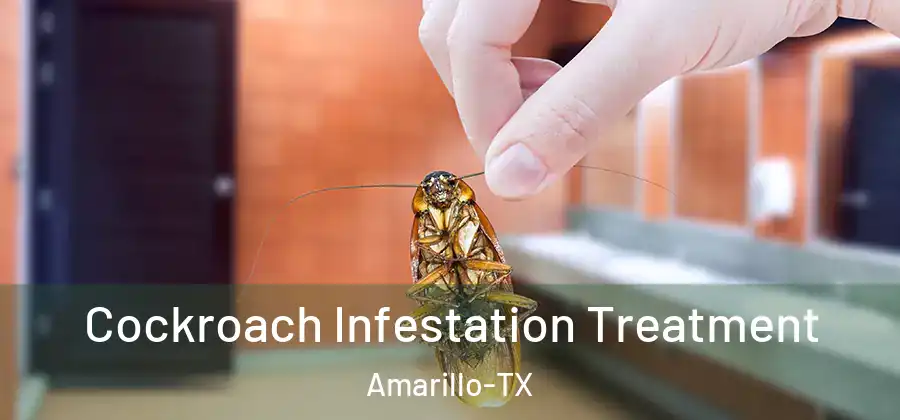  Cockroach Infestation Treatment Amarillo-TX