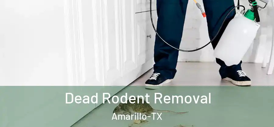  Dead Rodent Removal Amarillo-TX