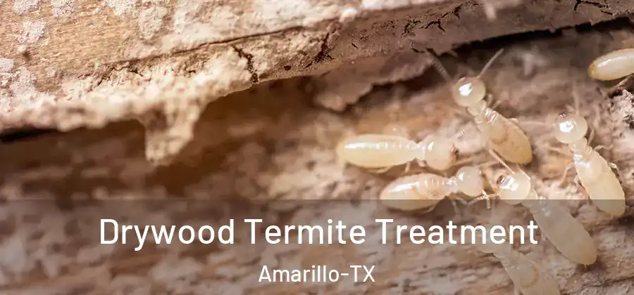  Drywood Termite Treatment Amarillo-TX