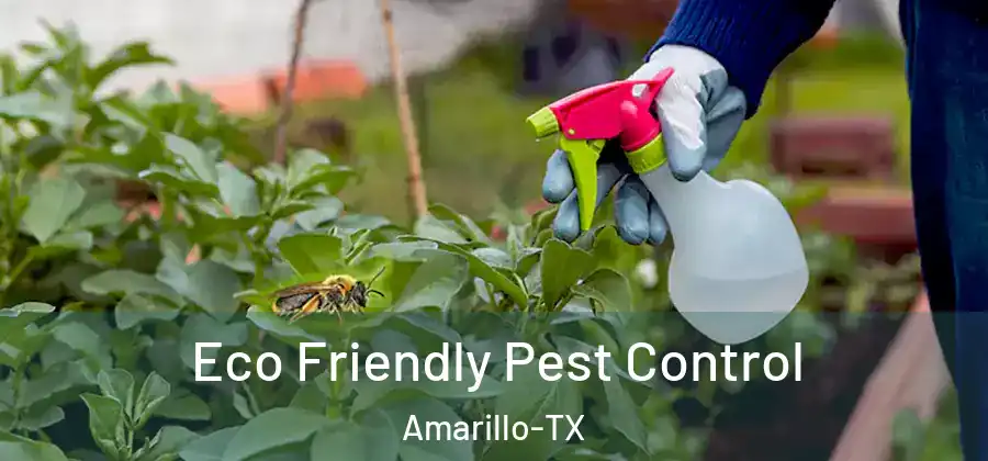  Eco Friendly Pest Control Amarillo-TX