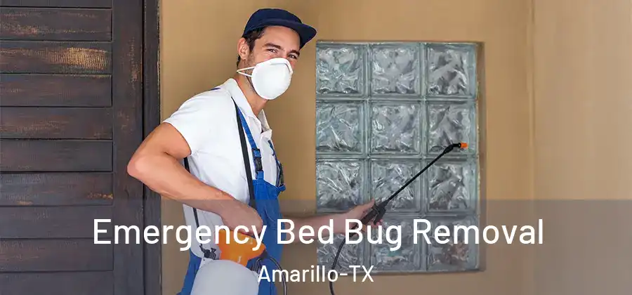  Emergency Bed Bug Removal Amarillo-TX