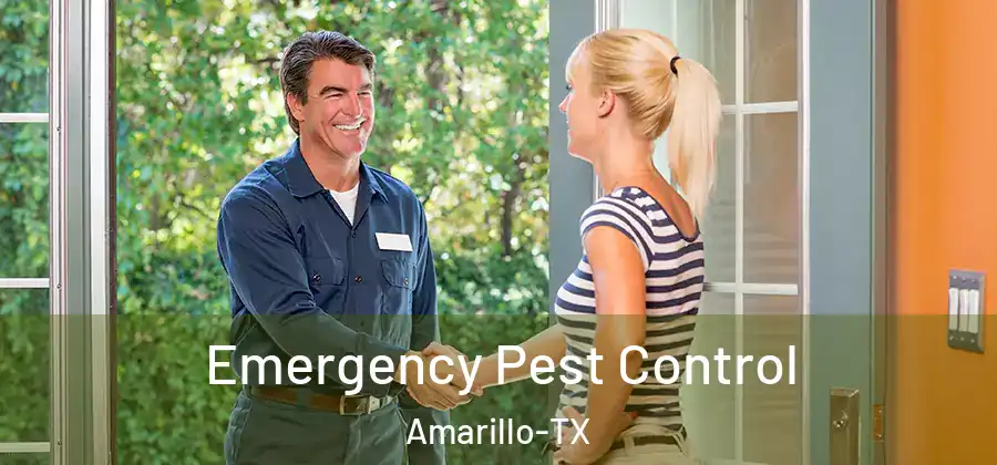  Emergency Pest Control Amarillo-TX
