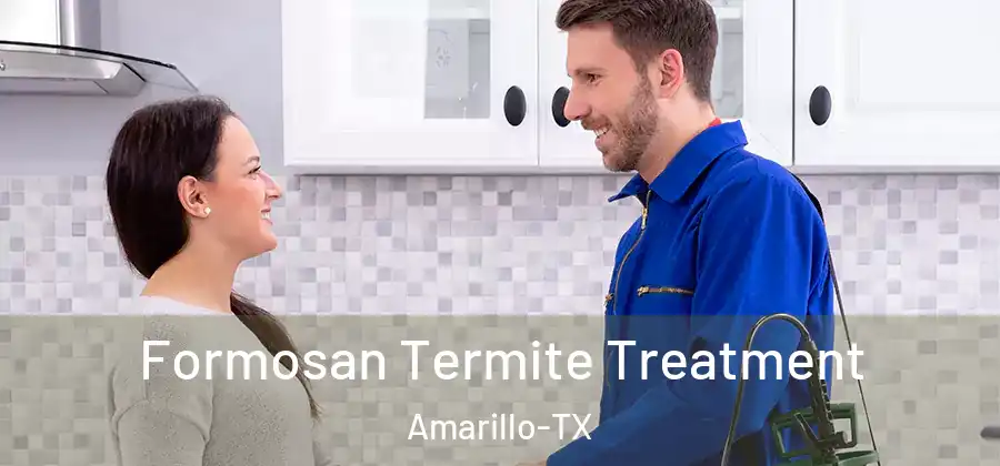  Formosan Termite Treatment Amarillo-TX