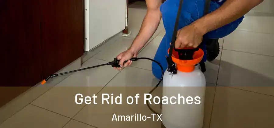  Get Rid of Roaches Amarillo-TX