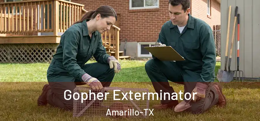  Gopher Exterminator Amarillo-TX