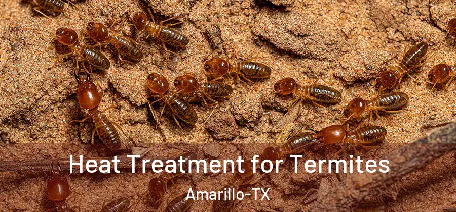  Heat Treatment for Termites Amarillo-TX