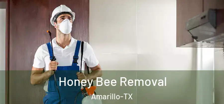  Honey Bee Removal Amarillo-TX
