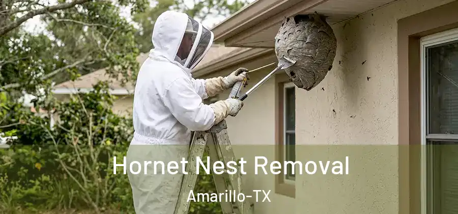  Hornet Nest Removal Amarillo-TX