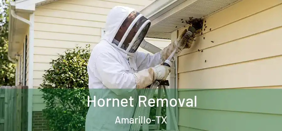  Hornet Removal Amarillo-TX