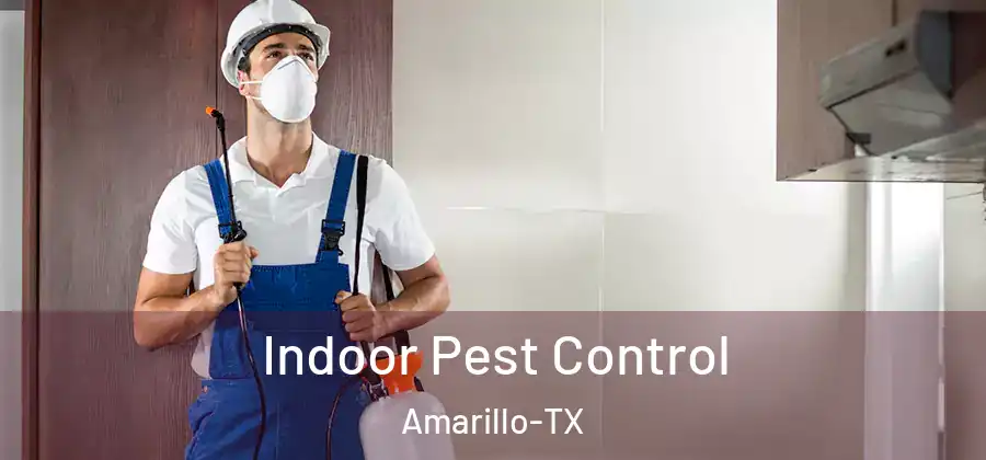  Indoor Pest Control Amarillo-TX