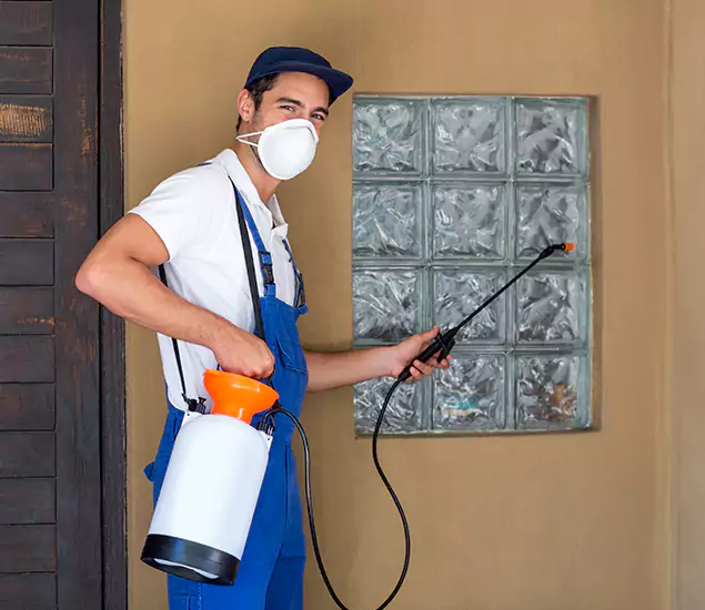 Your Reliable Pest Control in Amarillo, TX