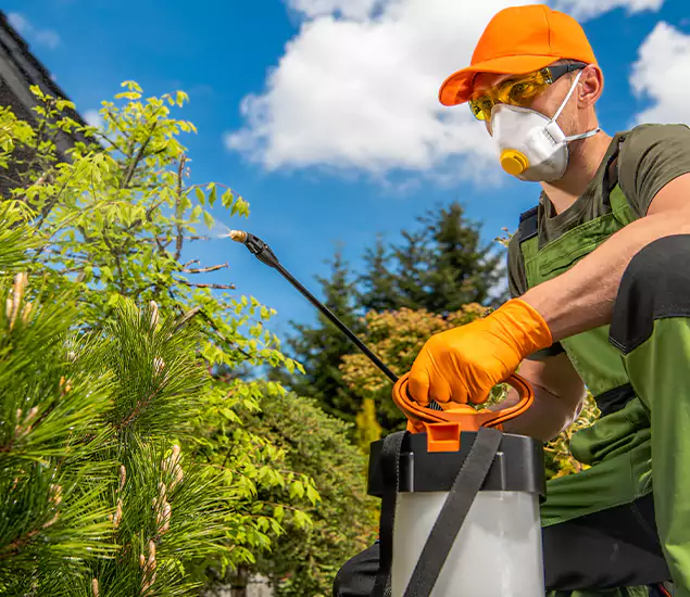 Your Mosquito Repellent Barrier Service in Amarillo, TX