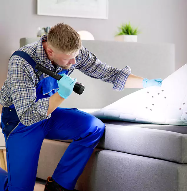 Why Choose Amarillo Pest Control Pro For Bed Bug Heat Treatment in Amarillo, TX?