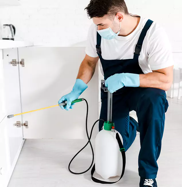 Why Amarillo, TX Homeowners Trust Us for German Roach Control?