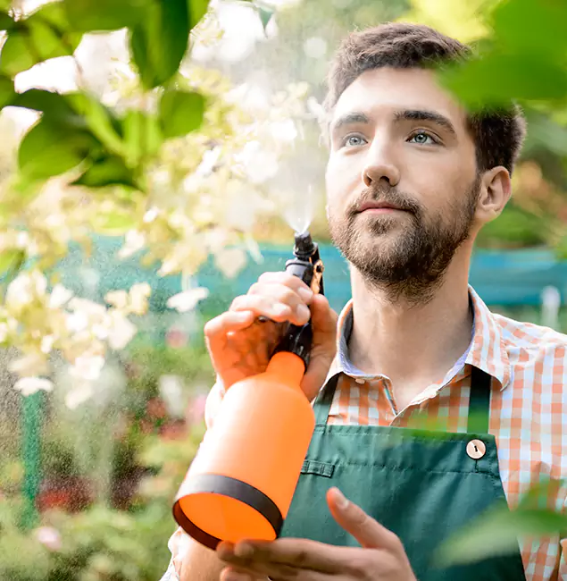 Why Amarillo Homeowners Call Amarillo Pest Control Pro for Mosquitoes in House?