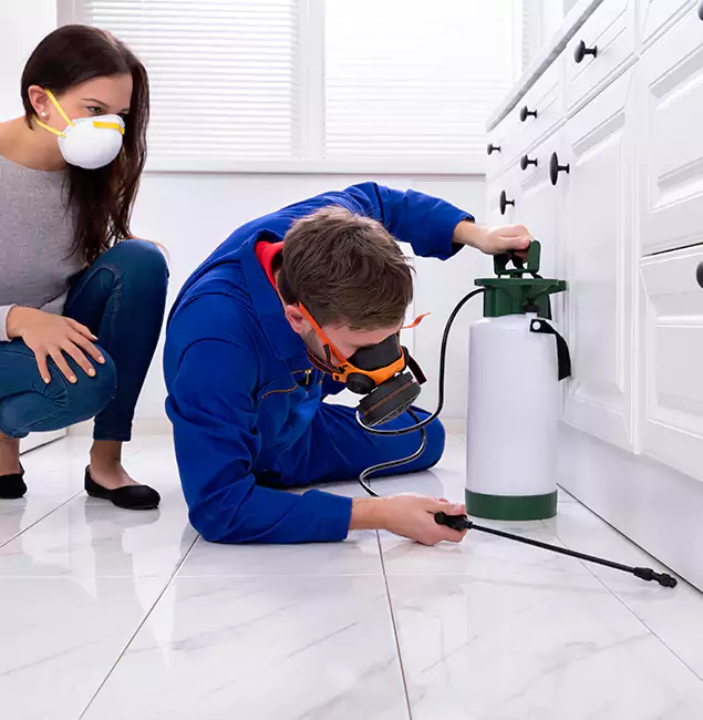 Why Choose Wood Termite Treatment by Amarillo Pest Control Pro in Amarillo, TX?